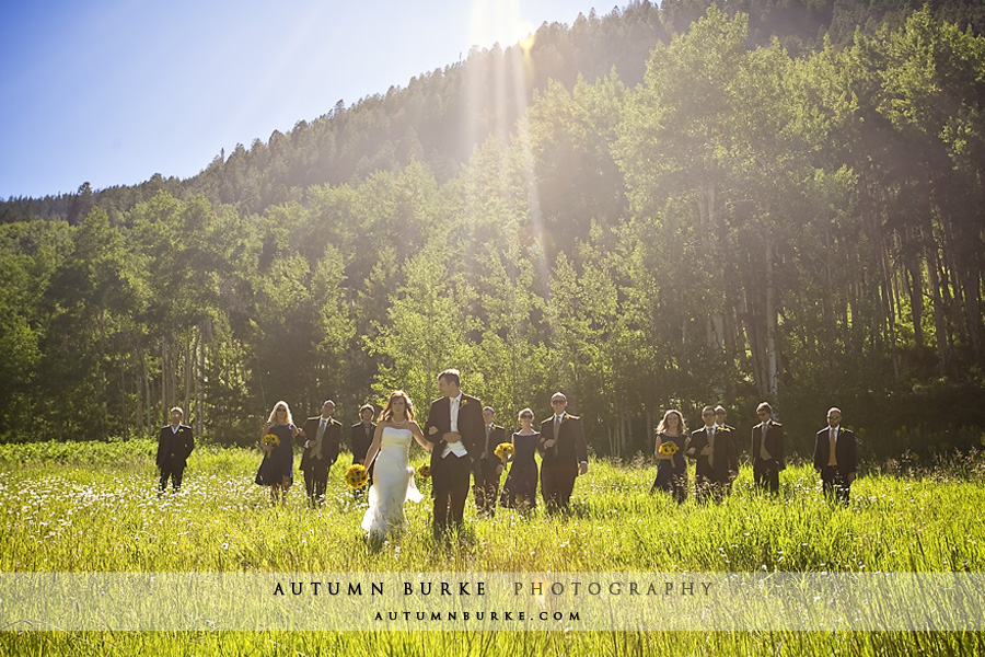 colorado mountain wedding bridal party