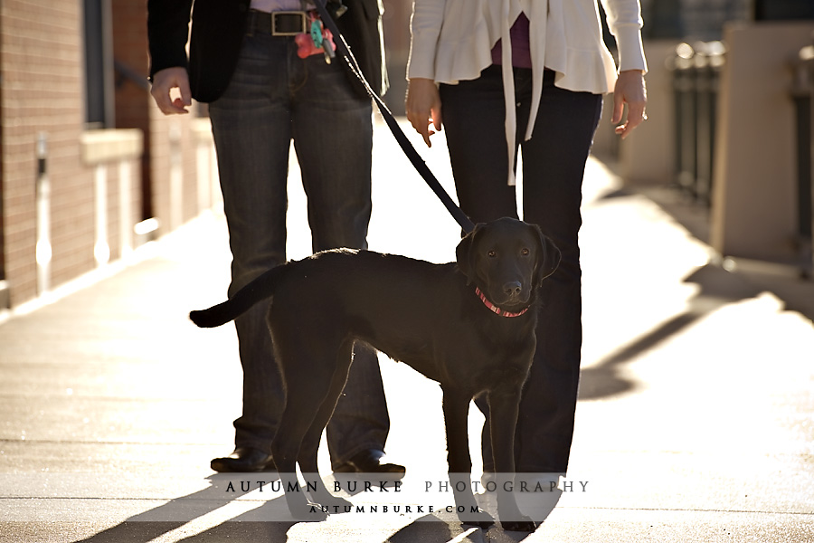 denver colorado engagement portrait session with dog