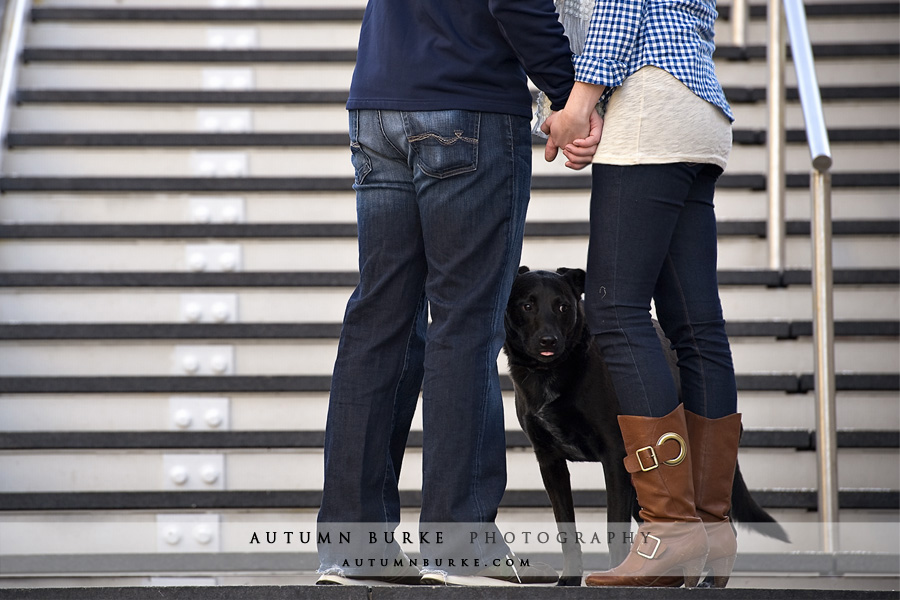 denver colorado engagement portrait session with dog