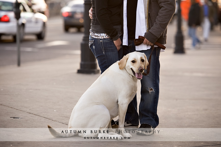 denver colorado wedding engagement session dog