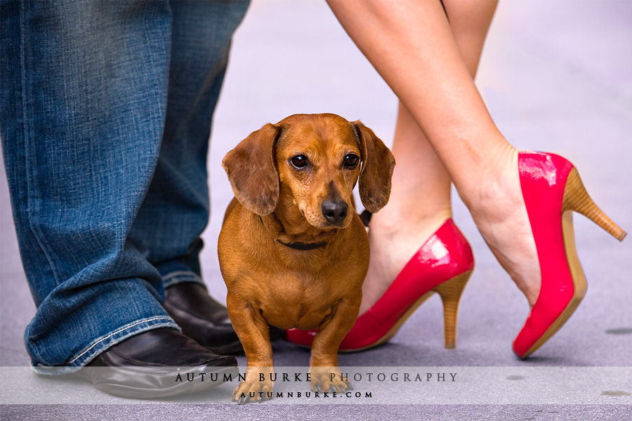 engagement portrait session shoes with adorable small dog