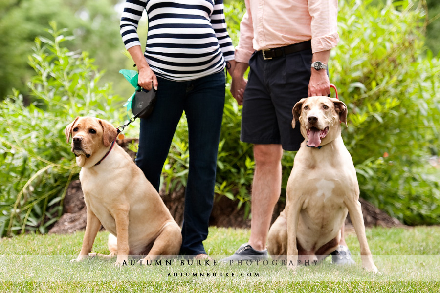 wash park denver maternity portrait session with dogs