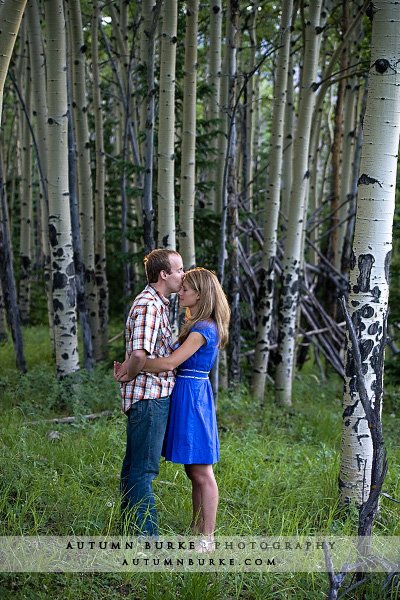 evergreen colorado mountain aspen grove engagement session