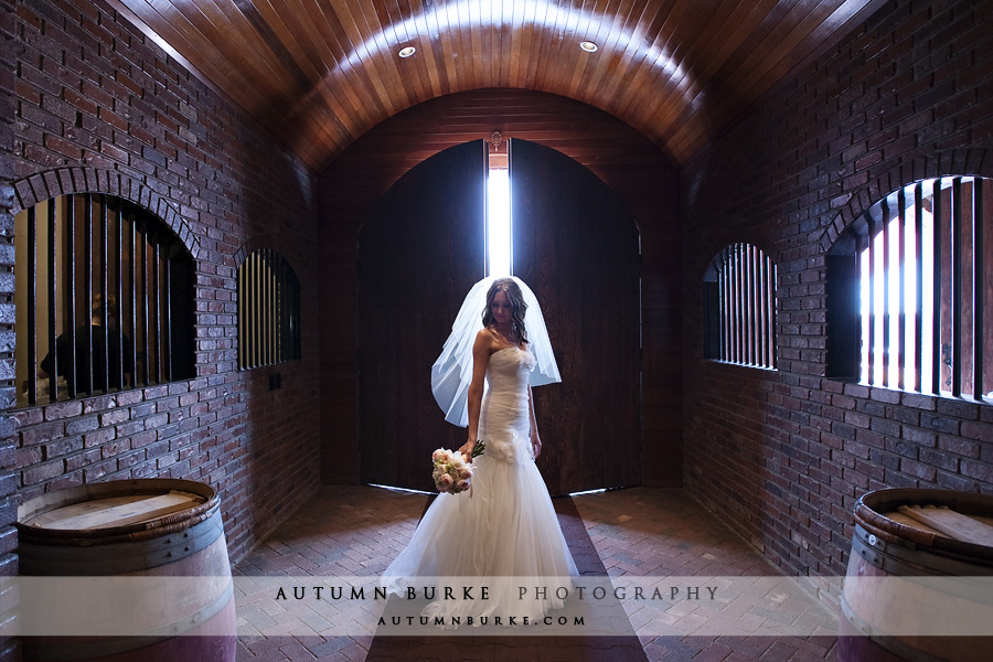 crooked willow farms larkspur colorado wedding bridal portrait