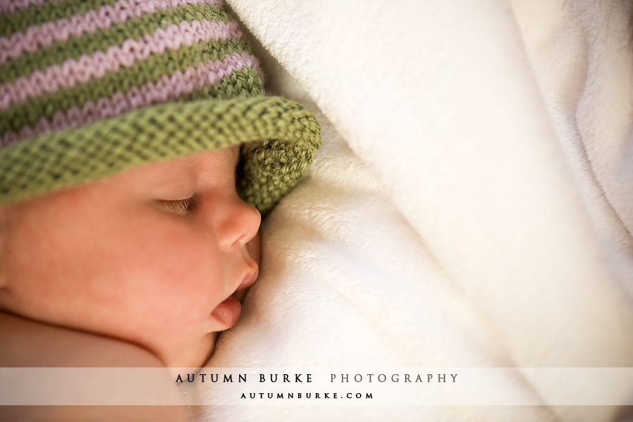 denver colorado newborn baby family portrait photographer