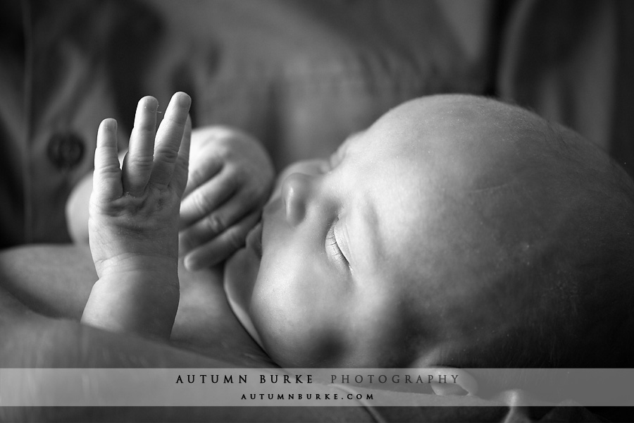 colorado portrait newborn baby