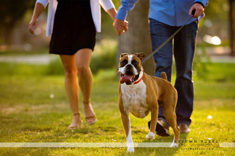 wash park denver colorado engagement session couple with dog