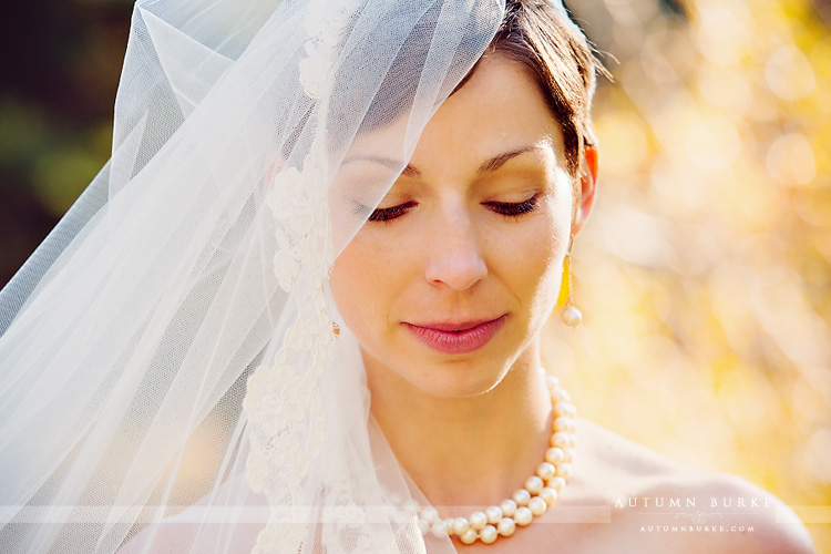 gorgeous bridal portrait colorado mountain wedding vail sonnenalp