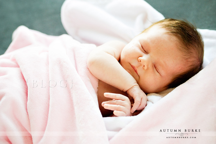 denver colorado family baby portrait photographer