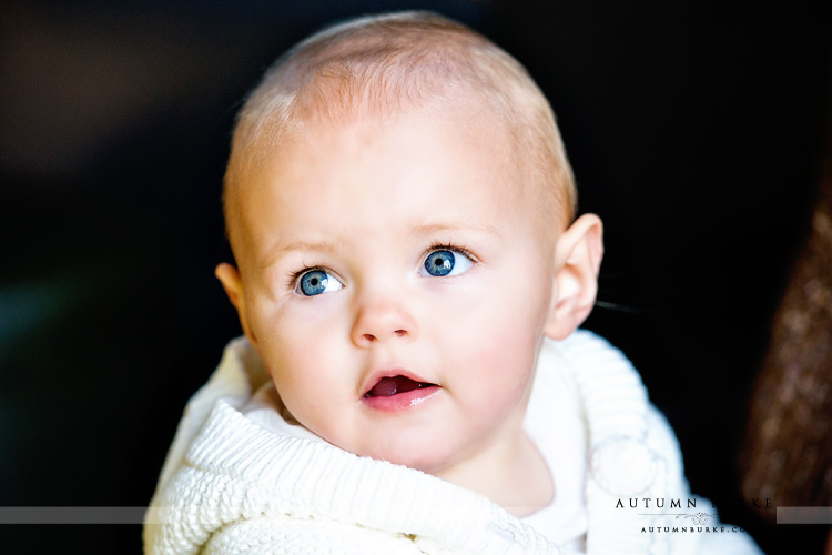 baby's first year family portrait denver colorado