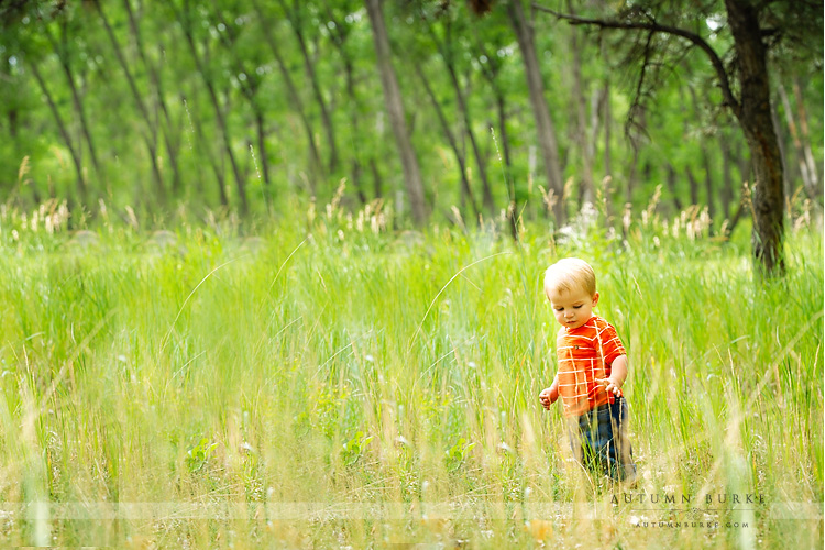 denver colorado baby in the field outdoor portrait photographer