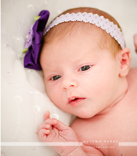 denver newborn portrait baby girl colorado family