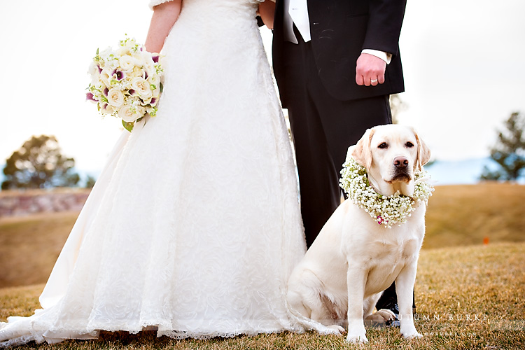 the sanctuary castle pines colorado wedding bride and groom with dog portrait