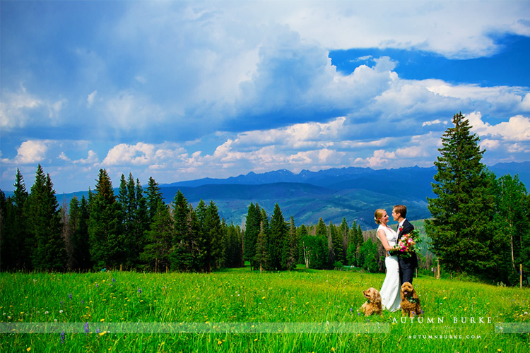 beaver creek mountain wedding colorado wedding deck bride and groom with dogs