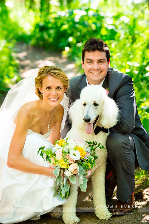 bride and groom and dog portrait beaver creek colorado wedding saddle ridge chapel