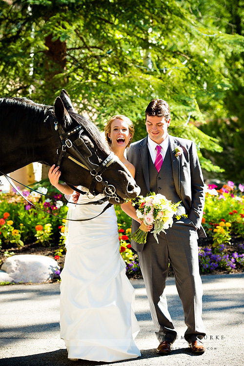 bride and groom and horse eating bouquet beaver creek colorado wedding mountain photographer