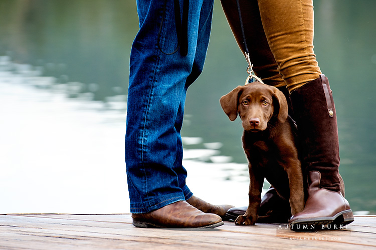 colorado wedding engagement session mountains portrait dog