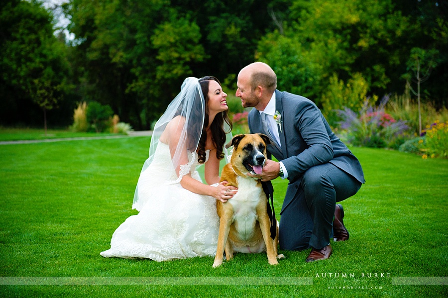 bride and groom portrait with dog denver botanic gardens at chatfield wedding