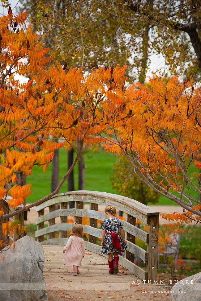 colorado family portraits autumn leaves sisters siblings children kids portraits