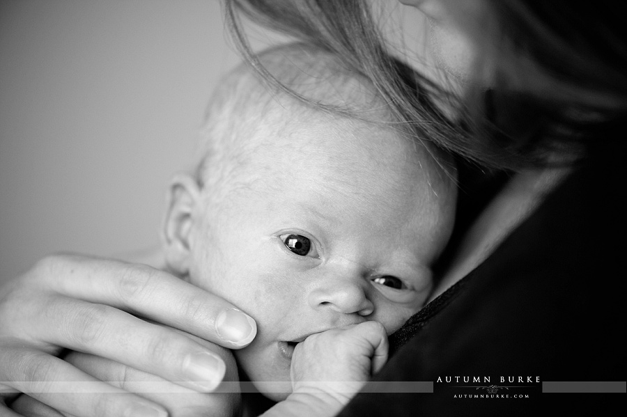 newborn baby portrait colorado family lifestyle photography