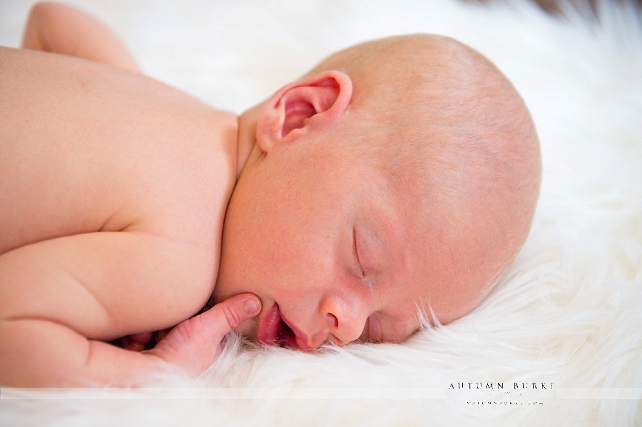 newborn baby denver colorado portrait family 