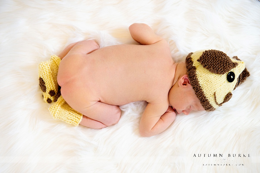 denver portrait newborn baby puppy hat and booties colorado family